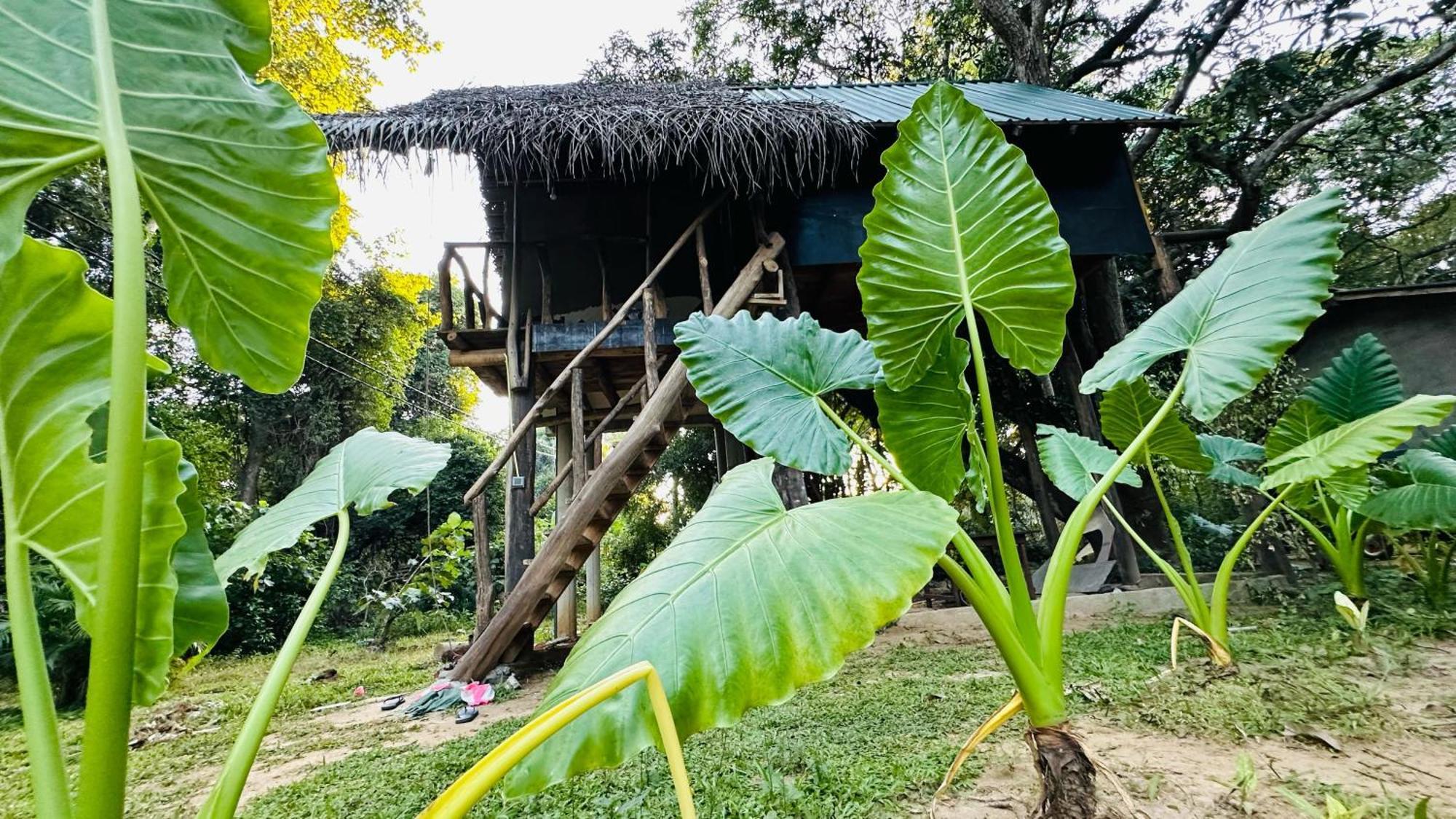 Sigiri Veenus Paradise Szigirija Kültér fotó