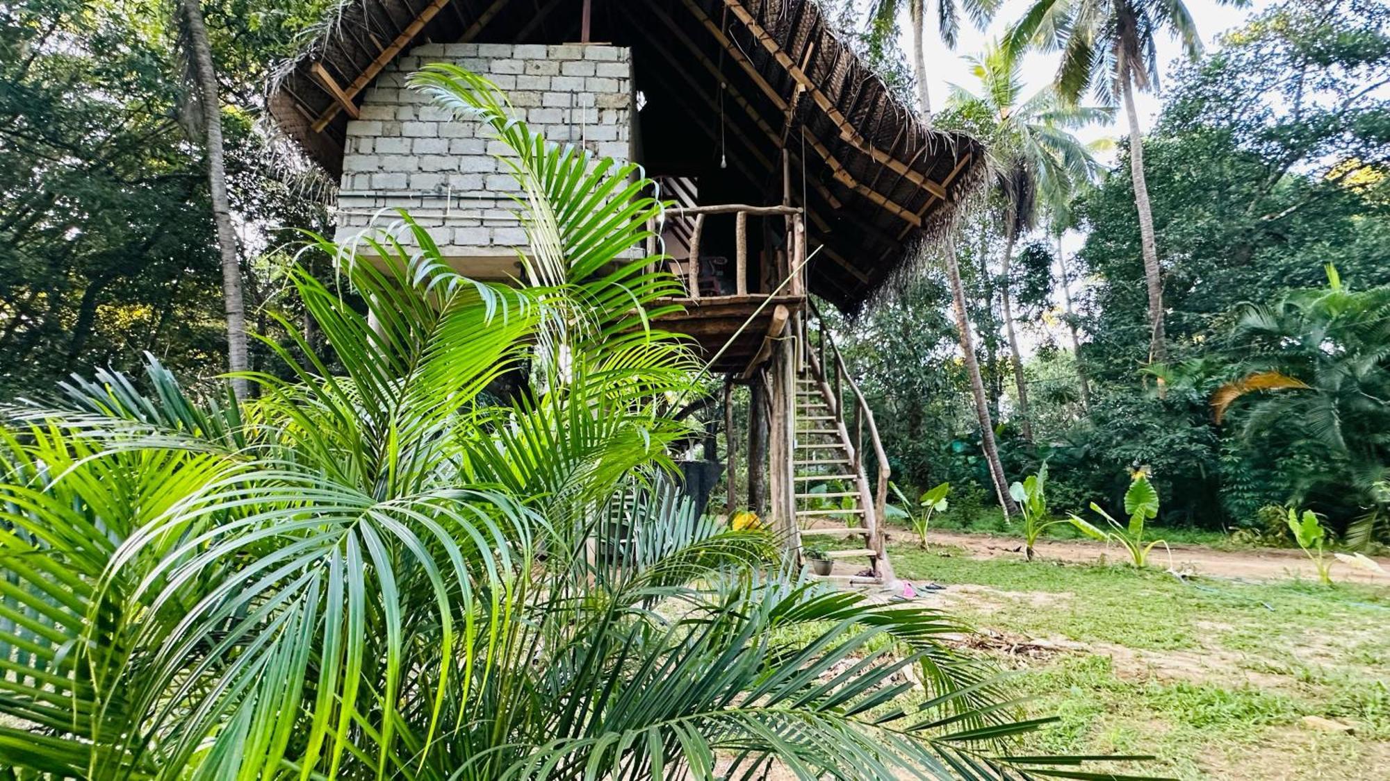 Sigiri Veenus Paradise Szigirija Kültér fotó